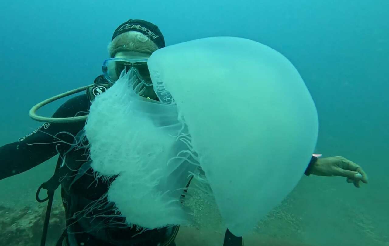 Antalyalı Balıkçıların Kabusu Oldu 10